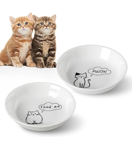 新品　cat's issue ホーロー　皿　　タンブラー　キャッツイシュー ネコ好きのすべての女性に贈る♡ しましま柄やおすまし顔が可愛い